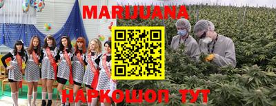 сатива Чебоксары