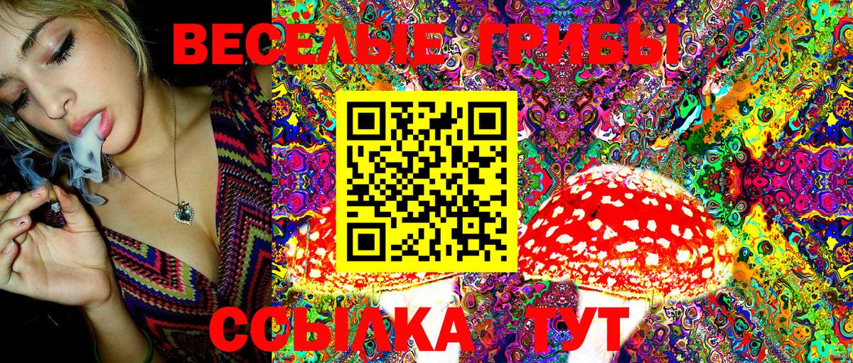 Галлюциногенные грибы Magic Shrooms  Вход с VPN  купить наркотик  Богданович 
