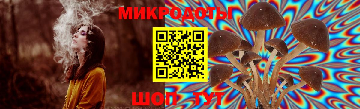 Галлюциногенные грибы Psilocybine cubensis Богданович